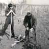 Rok 1966 - h�benie j�m pre polovysok� vedenie